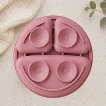 Plato Dividido + Set Utensilios Rosa