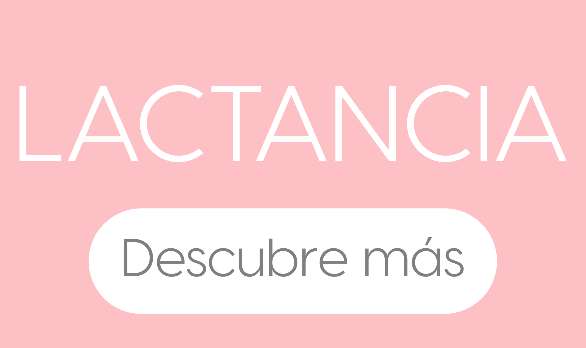 Imagen de galería