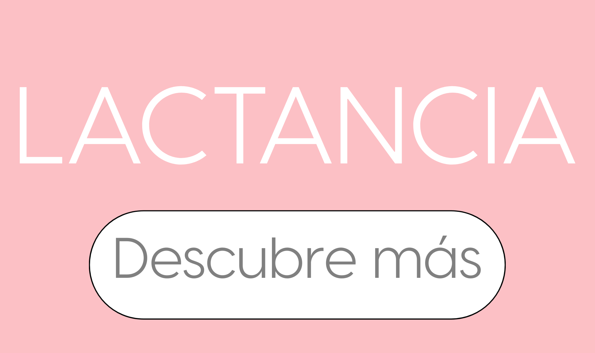 Imagen de galería